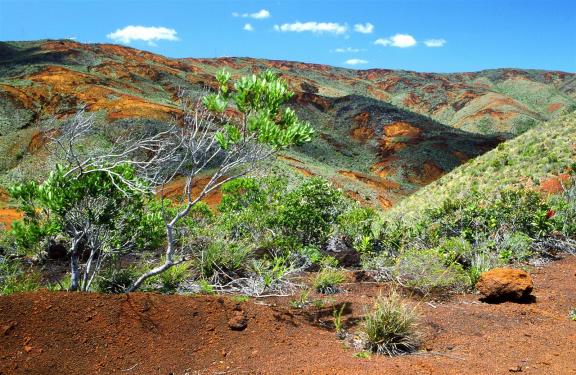 A typical landscape from the South of New Caledonia. The red-orange color of the rocks comes from the soil which is rich in metal oxides.