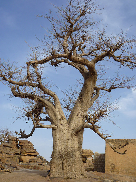 4612651336_1478dd89b5_z