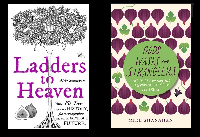 One Book Two Book One book. Two titles. Coming soon. Get them while they’re hot. | Under ...