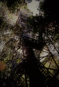 Tree tower in Lambir Hills National Park, Sarawak