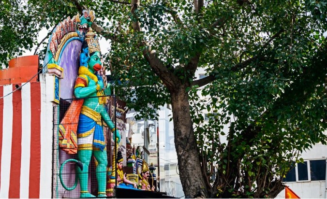 Hanuman-temple-and-fig-tree-Ficus-religiosa-in-Bangalore-Anoop-Negi