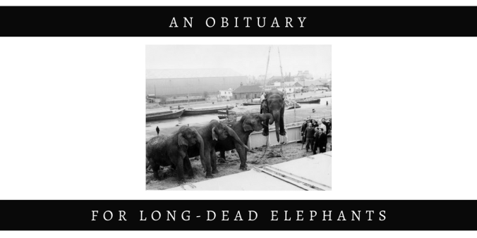 FOR LONG-DEAD ELEPHANTS