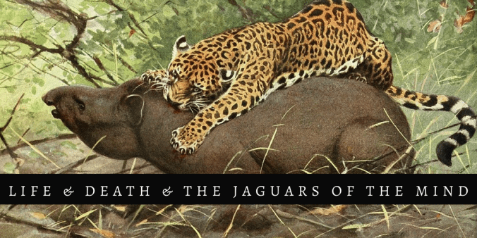 Jaguars of the mind